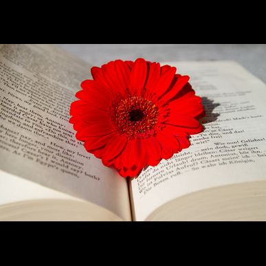 SEIKOの機械式アンティーク時計をお探しなら